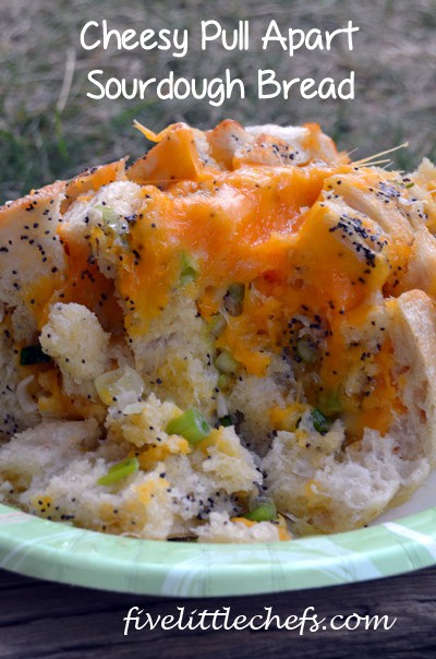 Cheesy Pull Apart Sourdough Bread from fivelittlechefs.com #kidscooking #bread