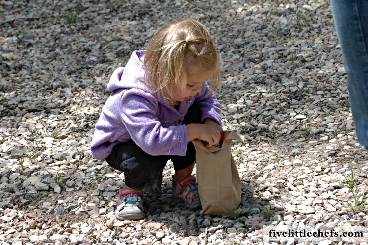 Nature Scavenger Hunt for Kids FREE Printable is a simple way to turn the outdoors into a fun adventure!