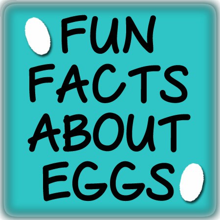 Fun Facts About Eggs from fivelittlechefs.com